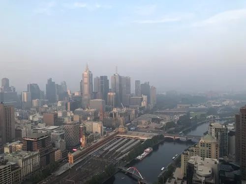 减少林火、消减碳排放，亟待各国政府有效行动