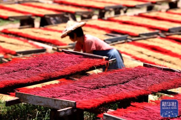 福建永春：晴天晒香忙