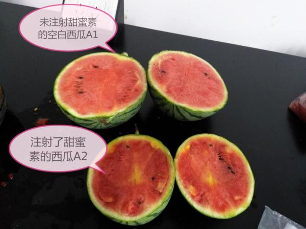 这些都是谣言！“吃瓜群众”速看→