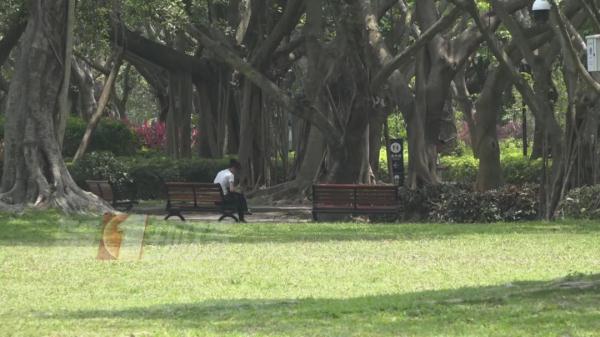 小虫子大麻烦！这种病近期高发，如何做到别来无“恙”？