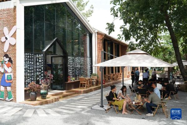 陕西周至:“田园经济”助力乡村振兴 陕西周至:“田园经济”助力乡村振兴