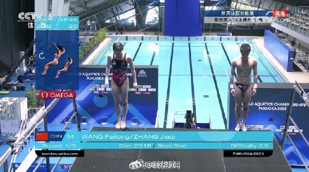 转起！祝贺！王飞龙张家齐跳水混双十米台夺金