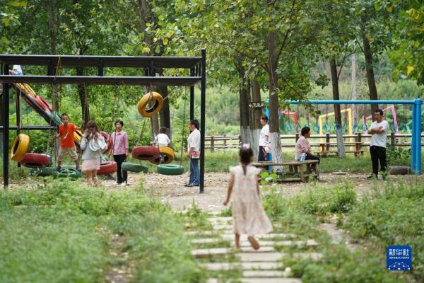 陕西周至:“田园经济”助力乡村振兴 陕西周至:“田园经济”助力乡村振兴