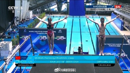 转起！祝贺！王飞龙张家齐跳水混双十米台夺金