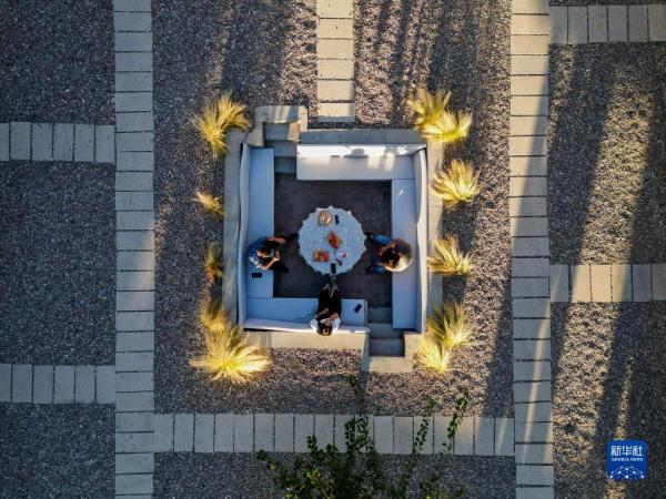 新疆:芬芳薰衣草助农增收 新疆:芬芳薰衣草助农增收