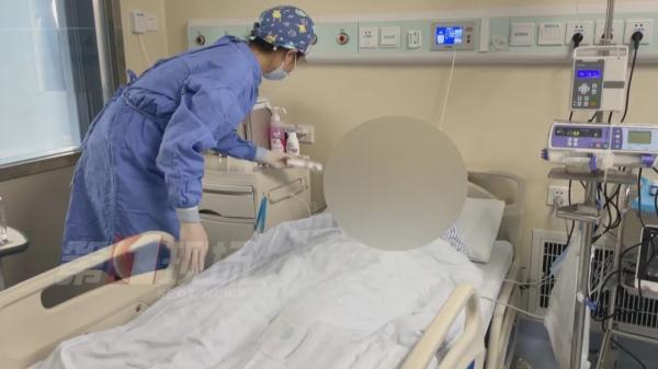 小虫子大麻烦！这种病近期高发，如何做到别来无“恙”？