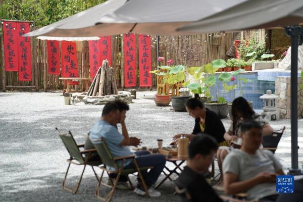 陕西周至:“田园经济”助力乡村振兴 陕西周至:“田园经济”助力乡村振兴