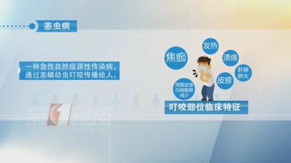 小虫子大麻烦！这种病近期高发，如何做到别来无“恙”？