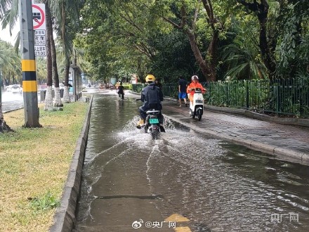 直击台风泰利来临前的海口 直击台风泰利来临前的海口