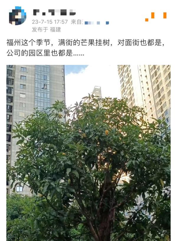 街头大量出现，专家提醒：不可食用！