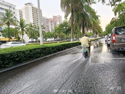 直击台风泰利来临前的海口 直击台风泰利来临前的海口