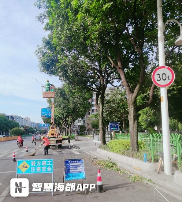 街头大量出现，专家提醒：不可食用！