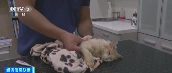 致死率近90%！这一病毒迅速蔓延