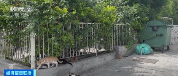 致死率近90%！这一病毒迅速蔓延