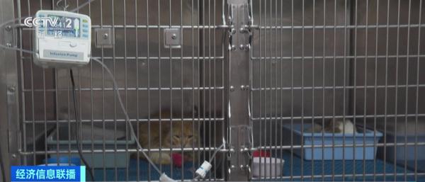 致死率近90%！这一病毒迅速蔓延