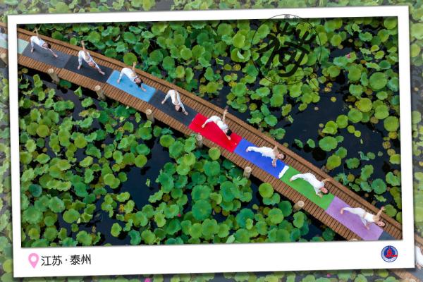 图说汉字｜送你一张“荷香”明信片