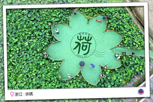 图说汉字｜送你一张“荷香”明信片