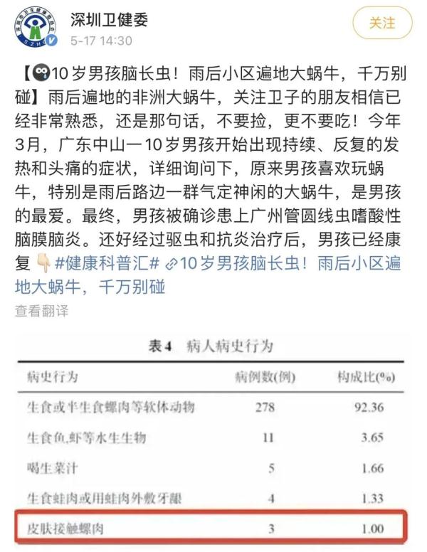 这种动物不能摸更不能吃！广东雨后街头特别多
