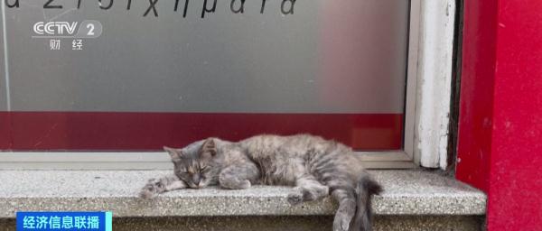 致死率近90%！这一病毒迅速蔓延