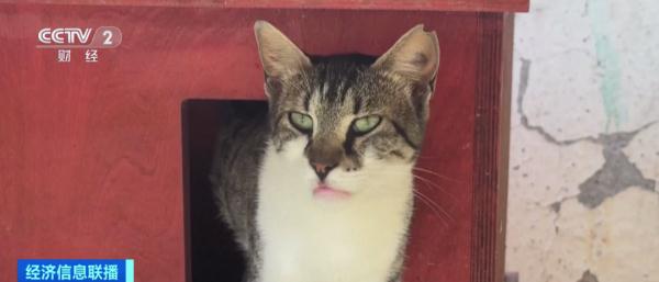 致死率近90%！这一病毒迅速蔓延