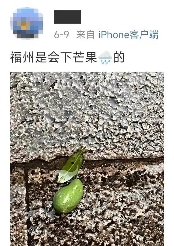 街头大量出现，专家提醒：不可食用！