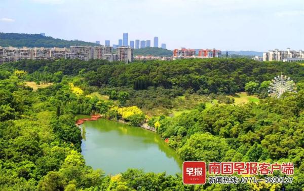 台风“泰利”将登陆，广西明起有强风暴雨！