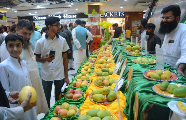 巴基斯坦:芒果上市展销 巴基斯坦:芒果上市展销