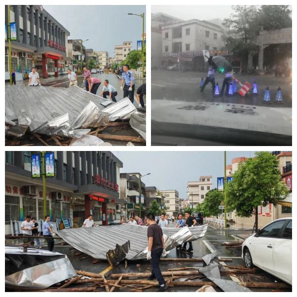 回港！避风！“泰利”逼近，广东各地这样防御→