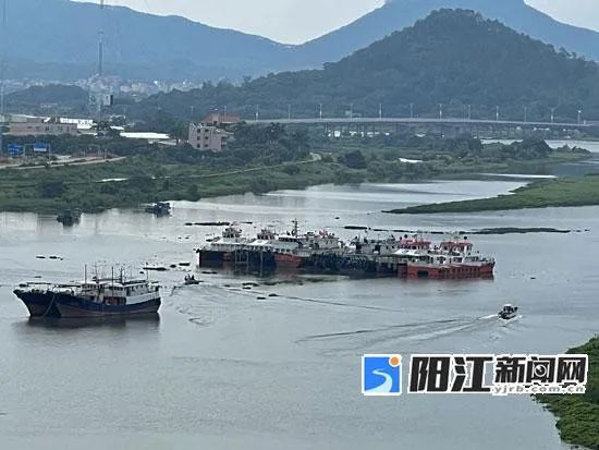 回港！避风！“泰利”逼近，广东各地这样防御→