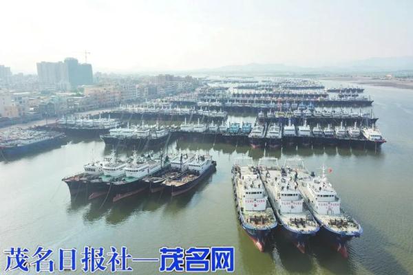 回港！避风！“泰利”逼近，广东各地这样防御→