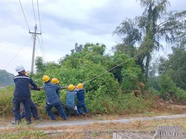 回港！避风！“泰利”逼近，广东各地这样防御→