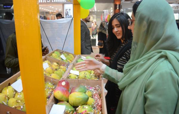 巴基斯坦:芒果上市展销 巴基斯坦:芒果上市展销