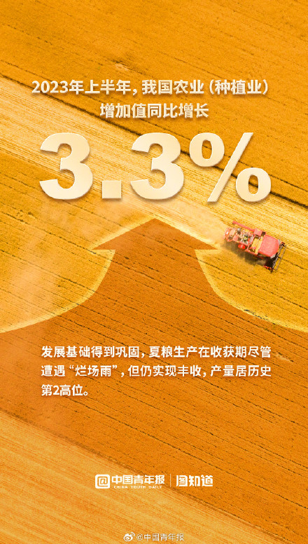 九图了解中国经济上半年成绩单