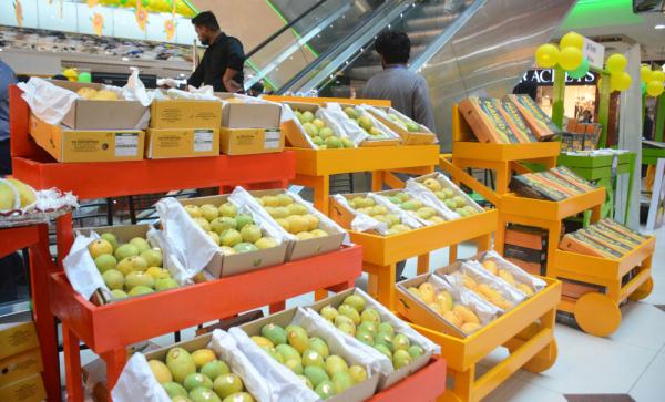 巴基斯坦:芒果上市展销 巴基斯坦:芒果上市展销