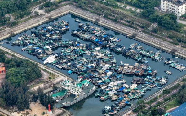 回港！避风！“泰利”逼近，广东各地这样防御→