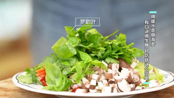 博士的独家菜谱,大厨的发海参秘籍,为夏季餐桌添凉意! 博士的独家菜谱,大厨的发海参秘籍,为夏季餐桌添凉意!