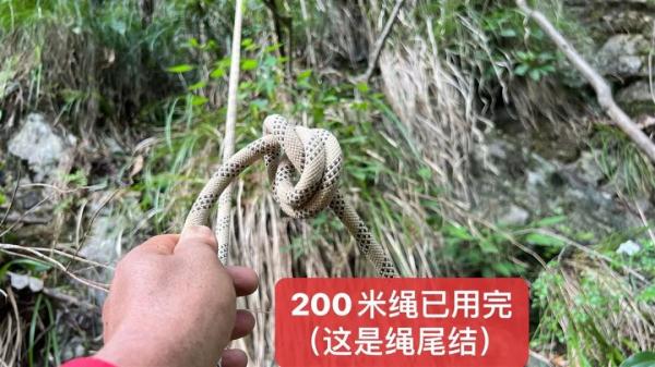 “想为自己生日添道菜”，女子上山采蘑菇失联，在数百米悬崖下被找到