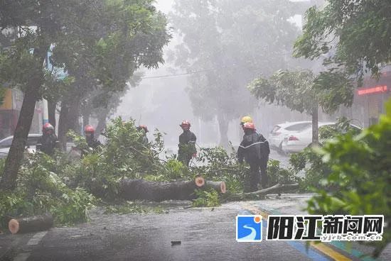 倾力守护！“泰利”来袭，他们不惧风雨逆风而行