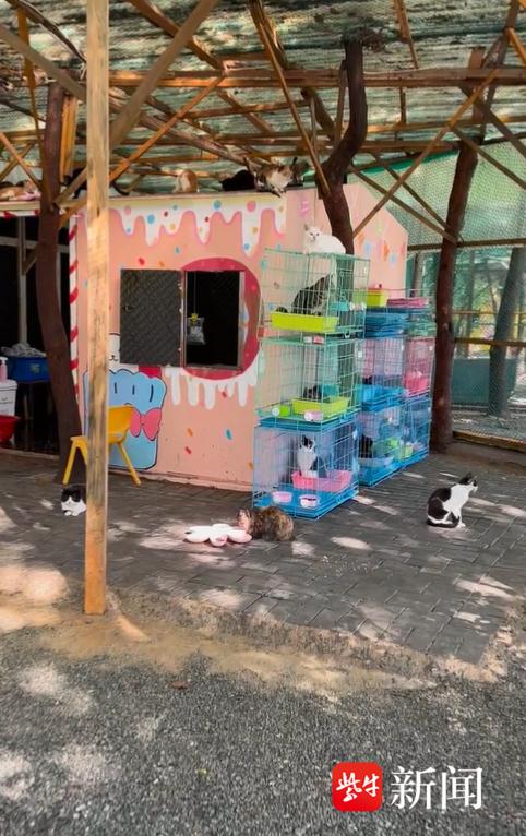 南京汤山遭遇强降雨有小区和村庄被淹,多方力量参与救援后险情顺利解除 南京汤山遭遇强降雨有小区和村庄被淹,多方力量参与救援后险情顺利解除