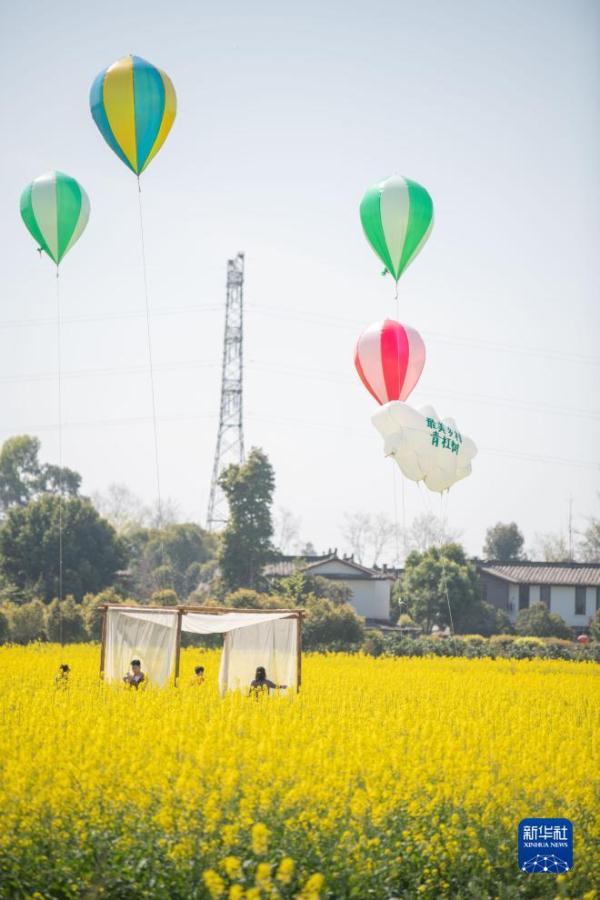 在成都，读懂大运之城的生态密码