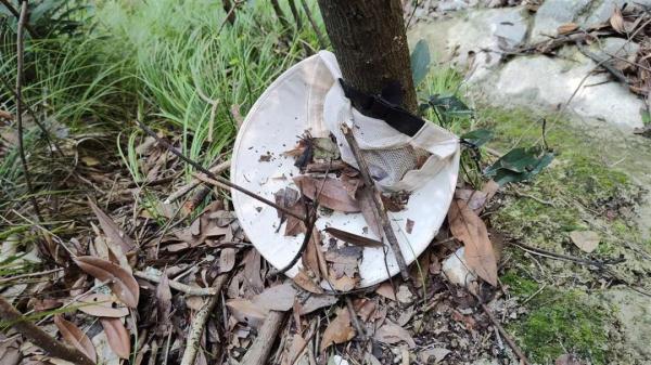 “想为自己生日添道菜”，女子上山采蘑菇失联，在数百米悬崖下被找到