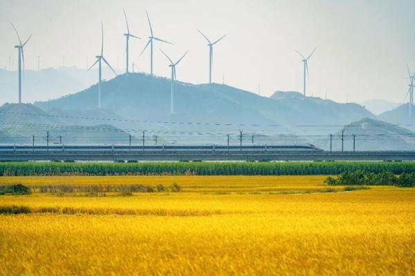 高铁普速同框！网友：高铁是中国速度，普速是中国温度