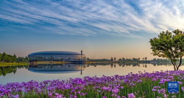 在成都，读懂大运之城的生态密码