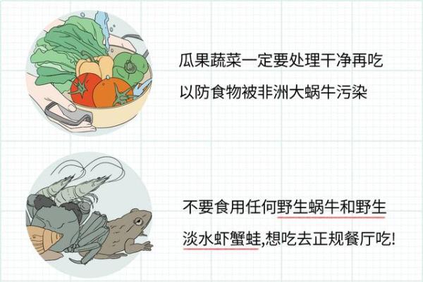 这种蜗牛是“毒王”,不能摸更不能吃! 这种蜗牛是“毒王”,不能摸更不能吃!