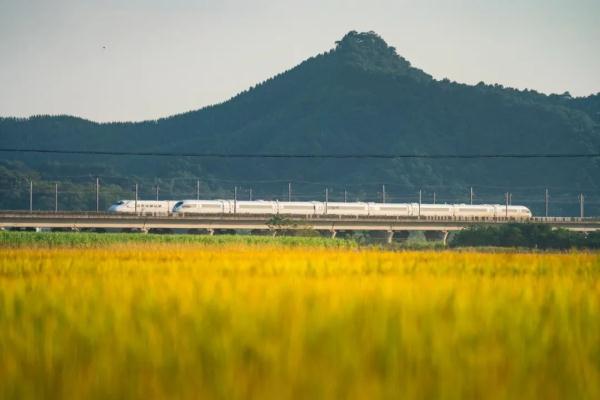 高铁普速同框！网友：高铁是中国速度，普速是中国温度