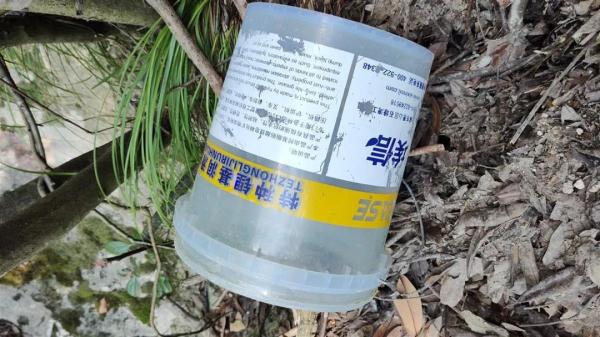 “想为自己生日添道菜”，女子上山采蘑菇失联，在数百米悬崖下被找到