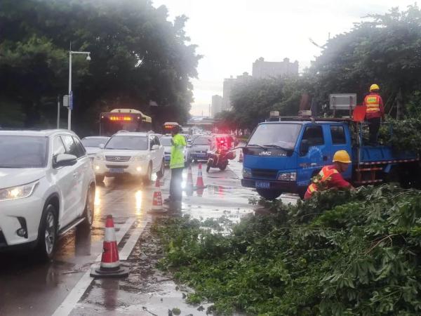 倾力守护！“泰利”来袭，他们不惧风雨逆风而行