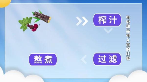 博士的独家菜谱,大厨的发海参秘籍,为夏季餐桌添凉意! 博士的独家菜谱,大厨的发海参秘籍,为夏季餐桌添凉意!