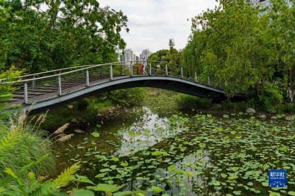 在成都，读懂大运之城的生态密码