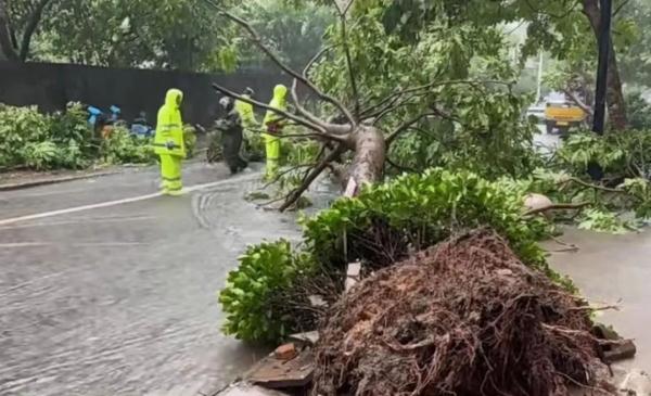 台风“泰利”一路向西已抵达防城港!各地最新救援现场 台风“泰利”一路向西已抵达防城港!各地最新救援现场